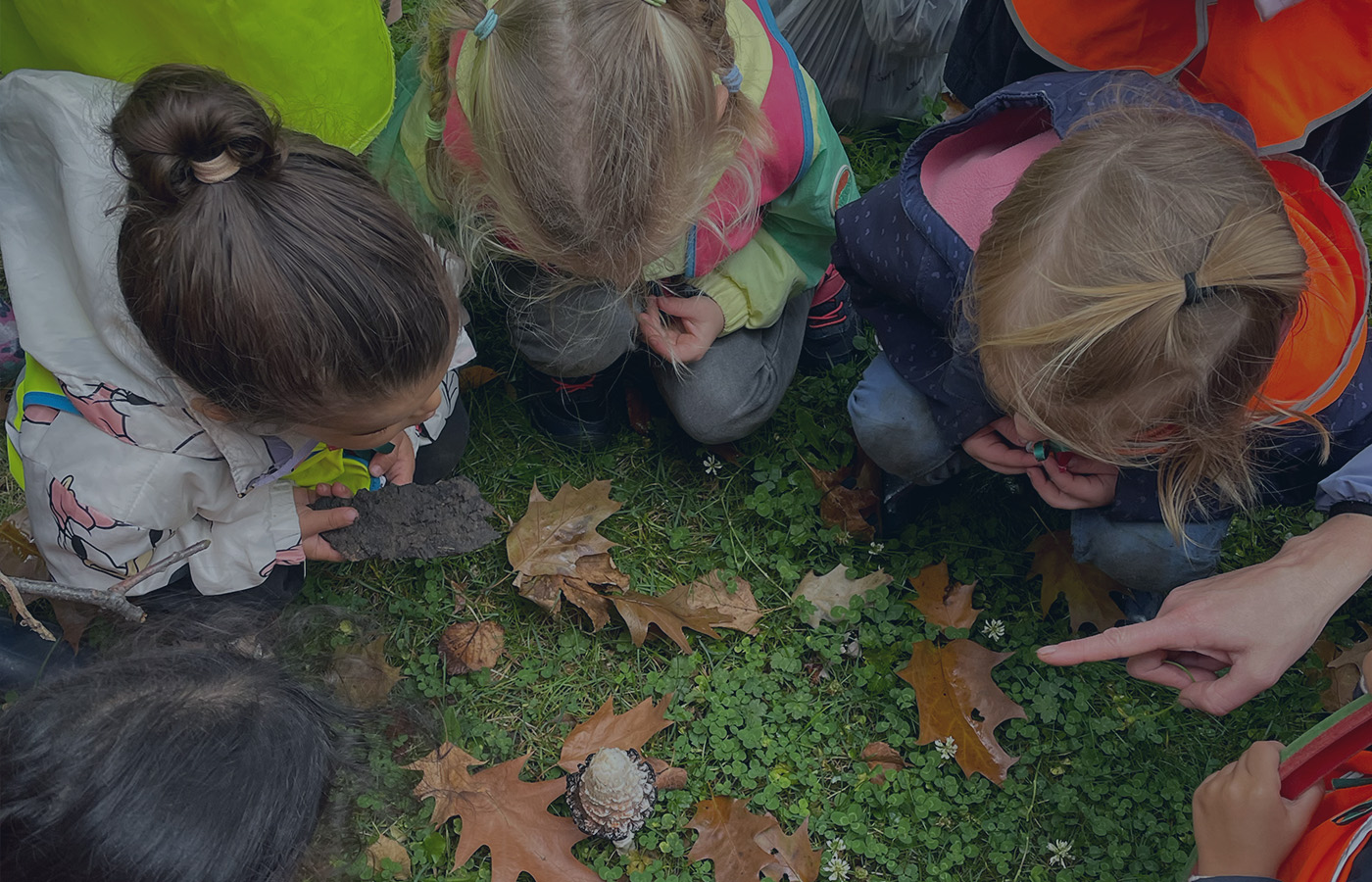 In het bos daar gaan we lerenHERFST